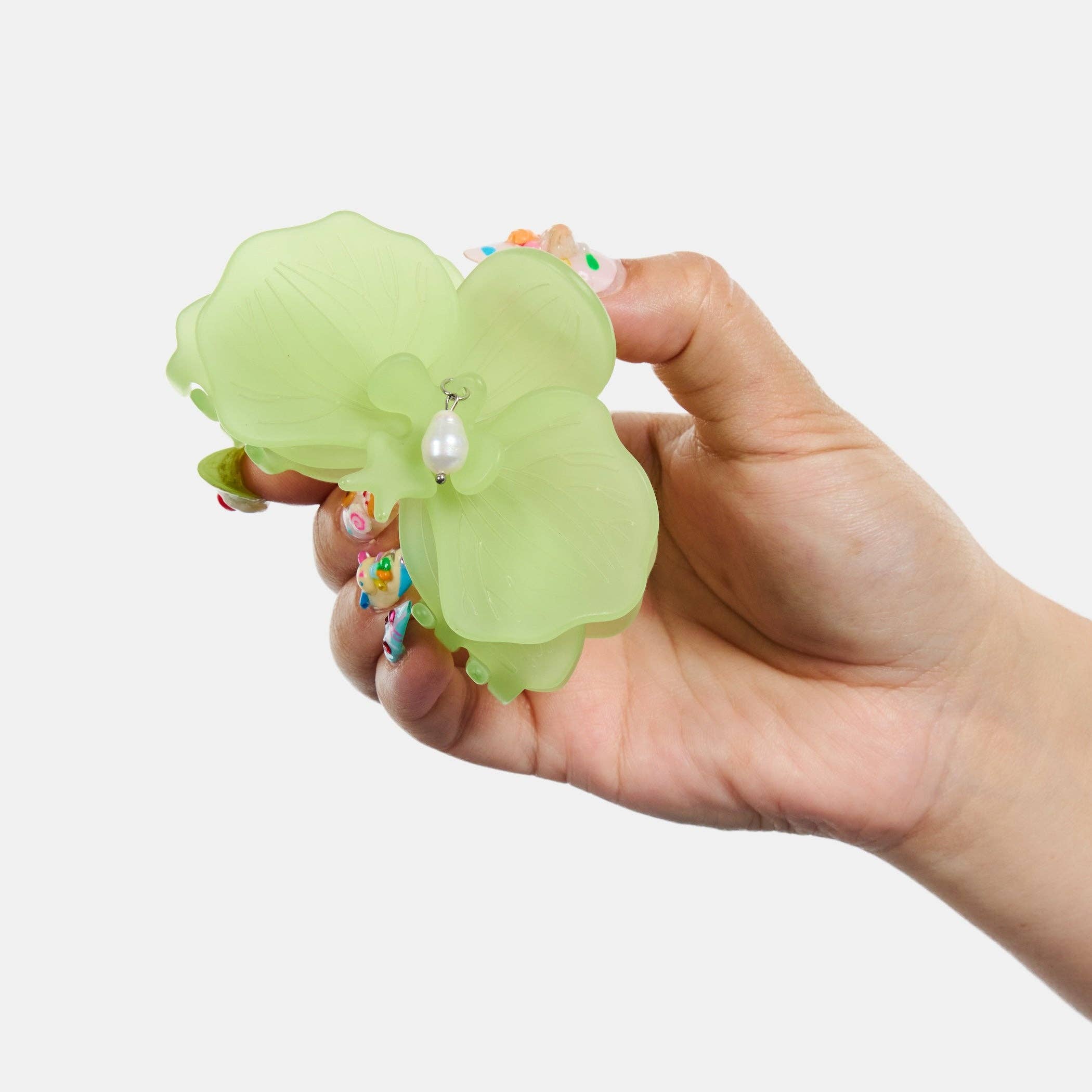 Orchid Claw-Lime, photo 5 of 6