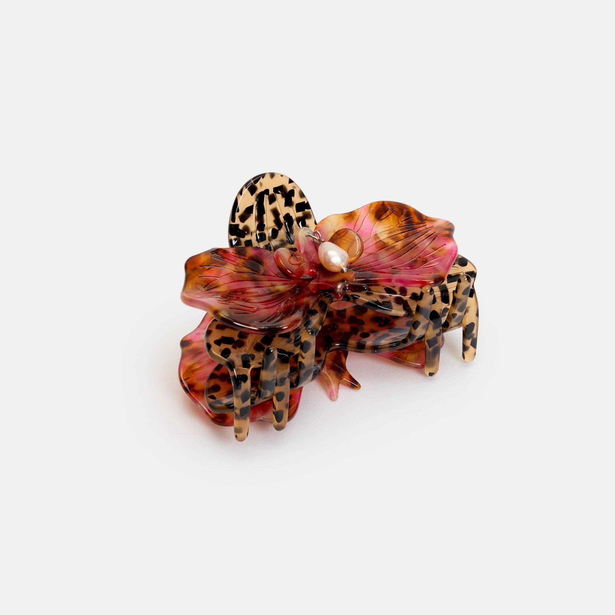 Orchid Claw-Cougar, photo 1 of 5