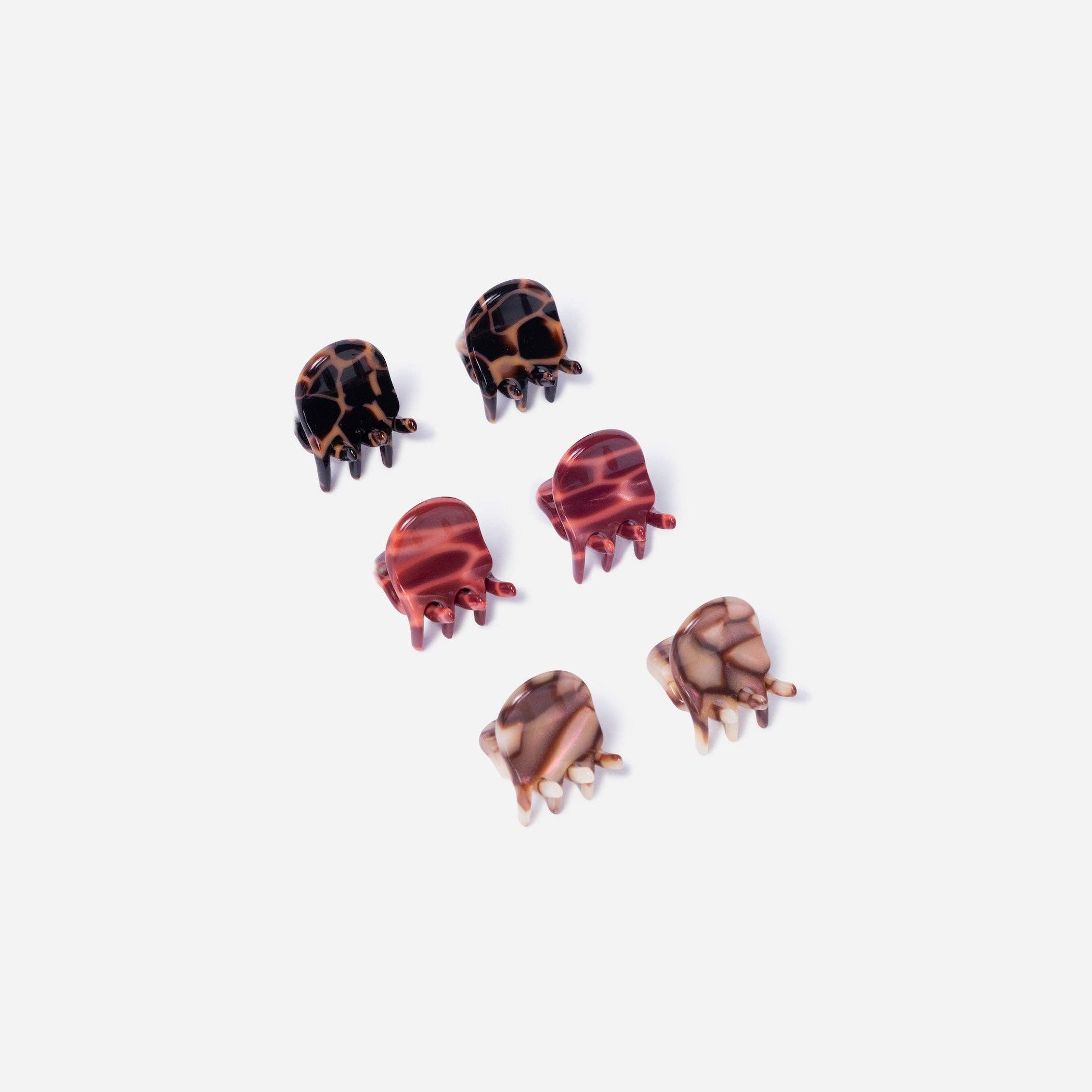 Micro Claws in Terra, photo 3 of 5