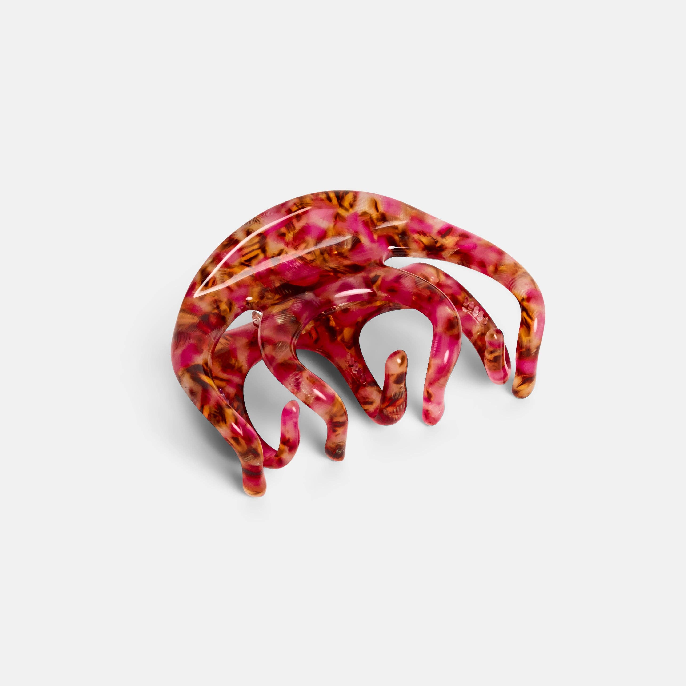 Octopus Claw in Blossom, photo 1 of 6