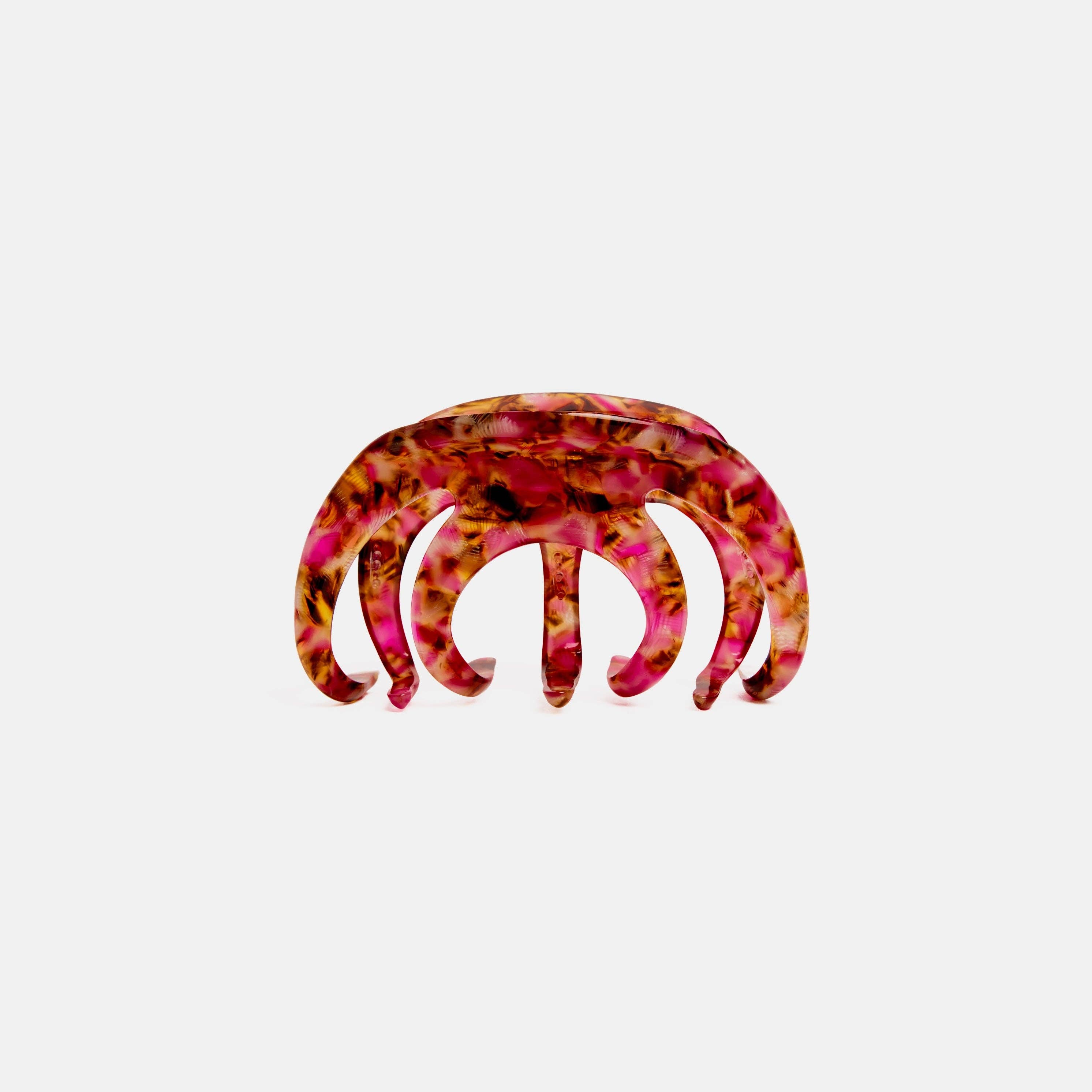 Octopus Claw in Blossom, photo 4 of 6