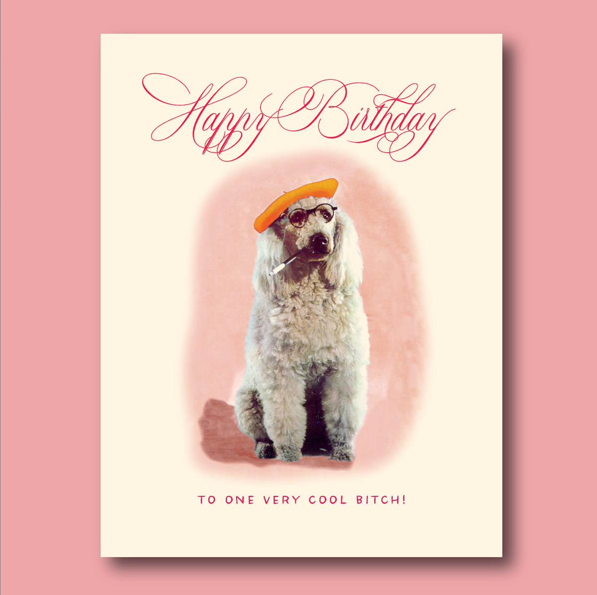 COOL BITCH BERET poodle birthday card, photo 1 of 2