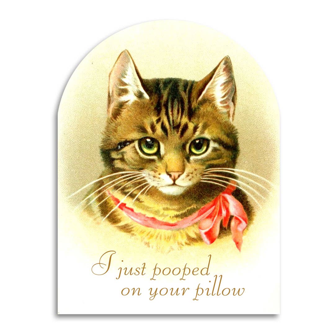 I Just Pooped on Your Pillow, photo 1 of 3