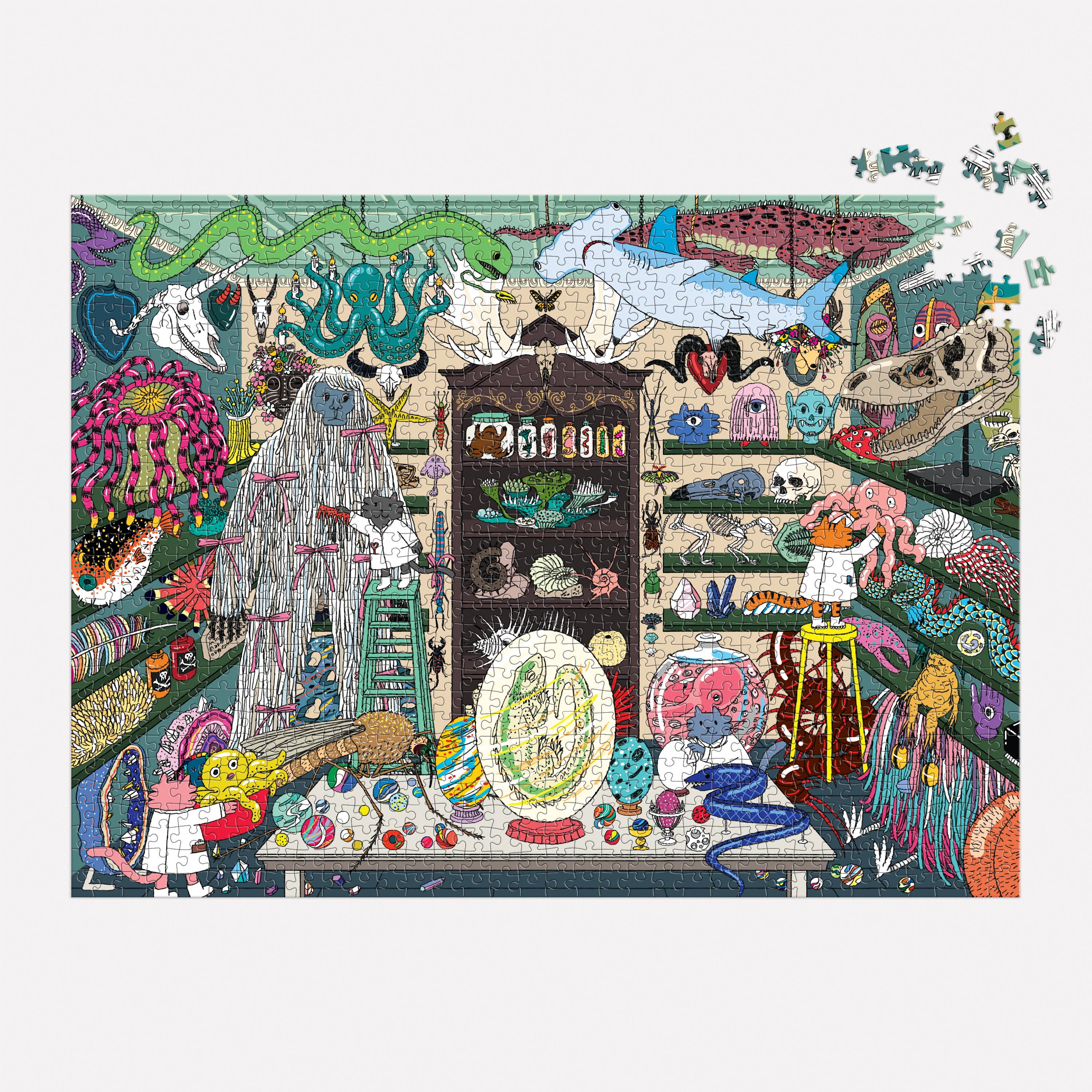 World of Curiosities 1000 Piece Puzzle, photo 2 of 3