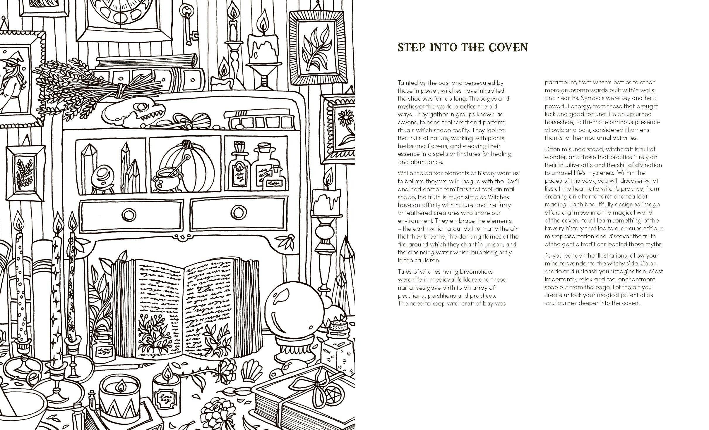 Into the Coven, photo 2 of 8