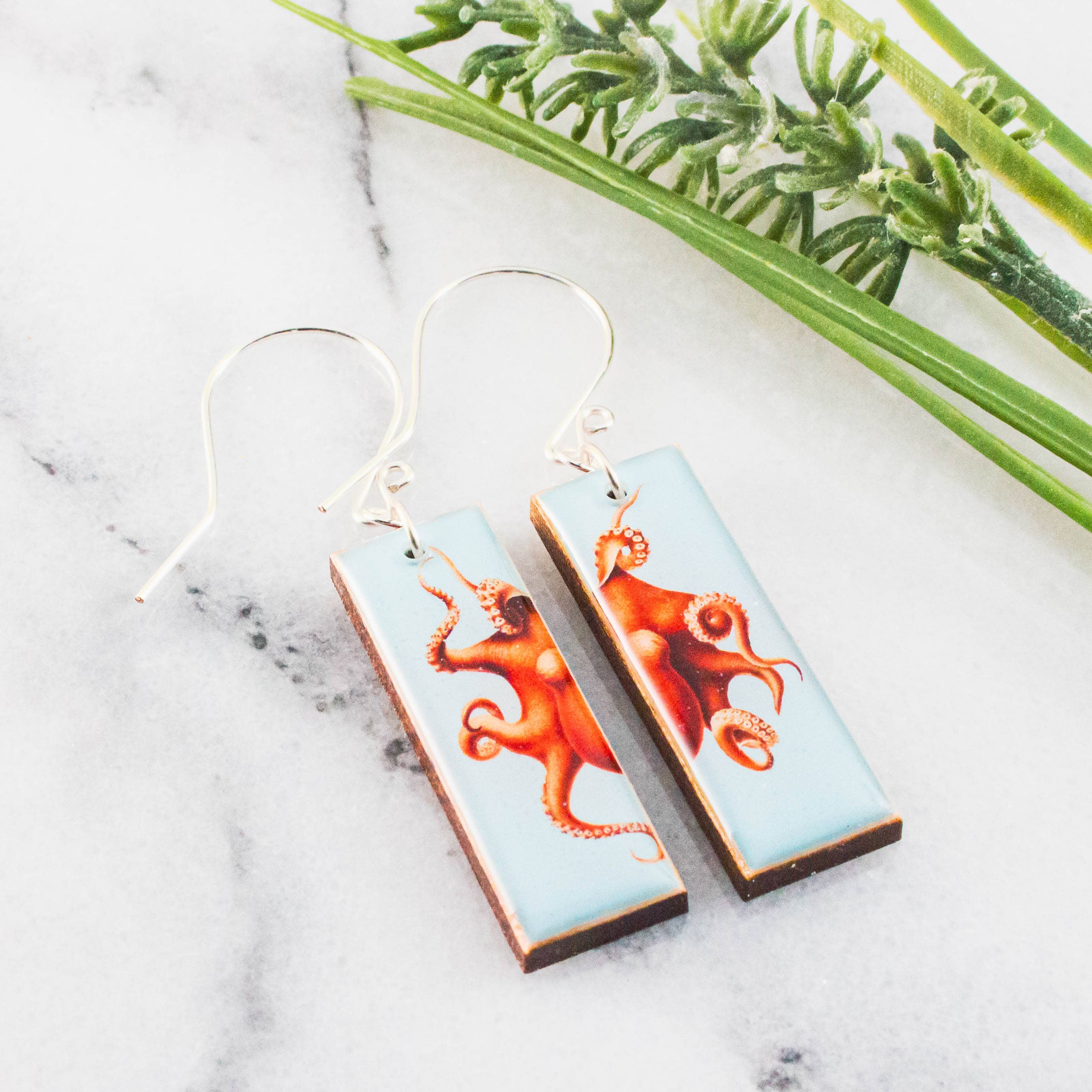 Octopus Rectangles, photo 1 of 2