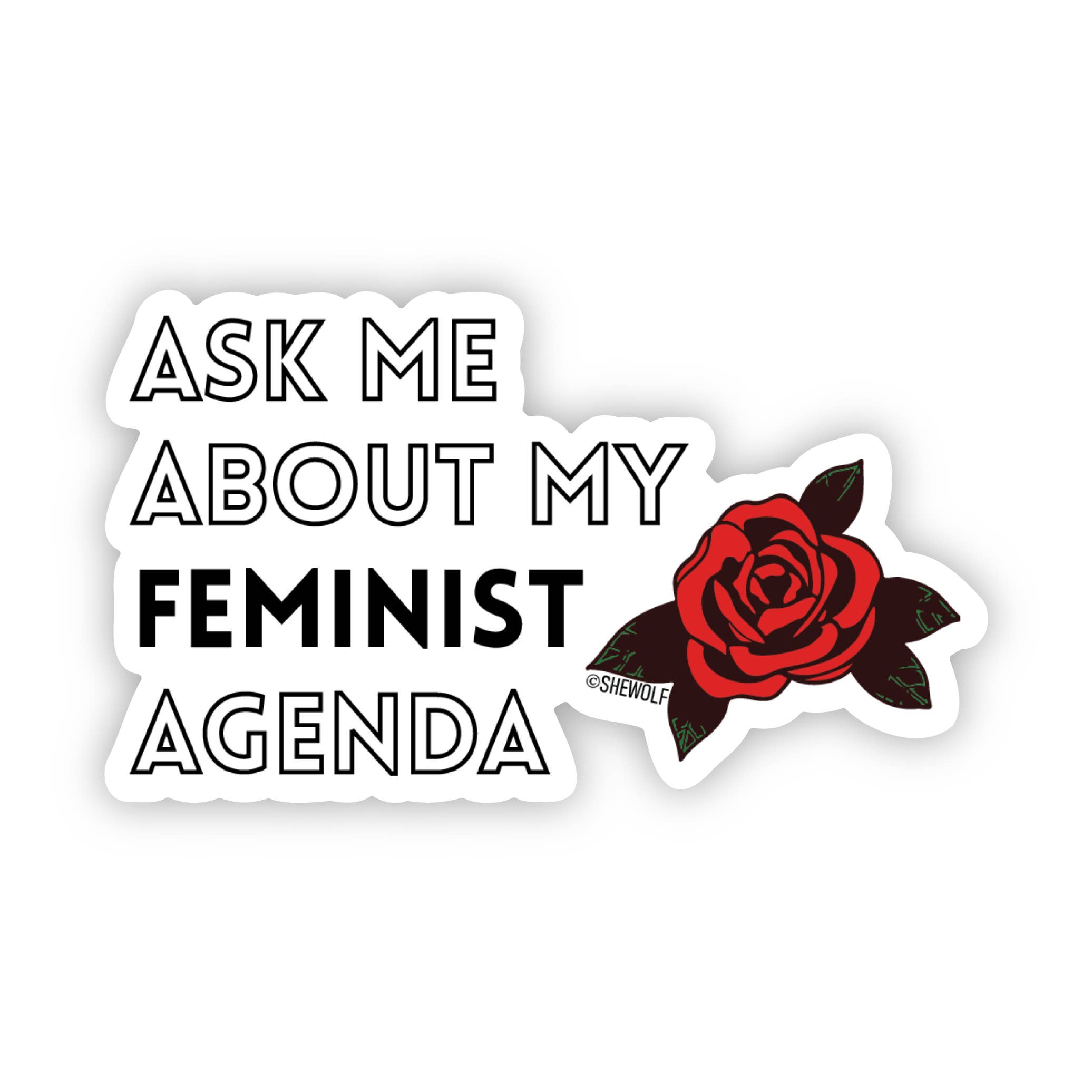 Ask Me About My Feminist Agenda, photo 1 of 2