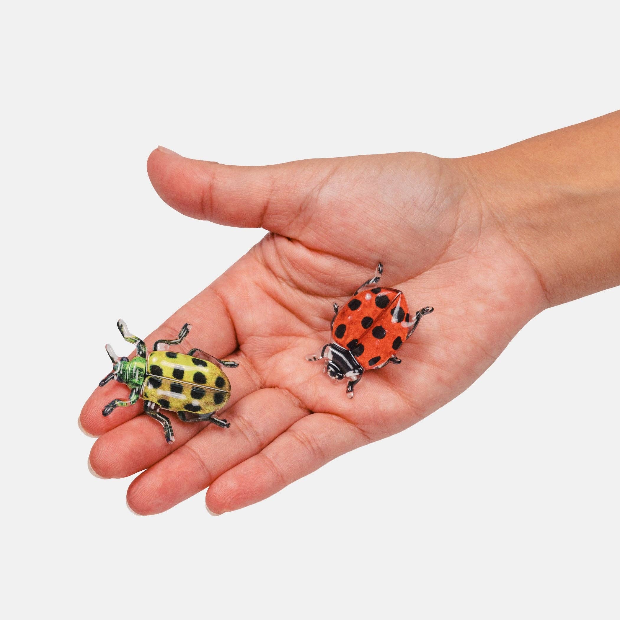 Allie Clips in Spotted Crawlers, photo 4 of 4
