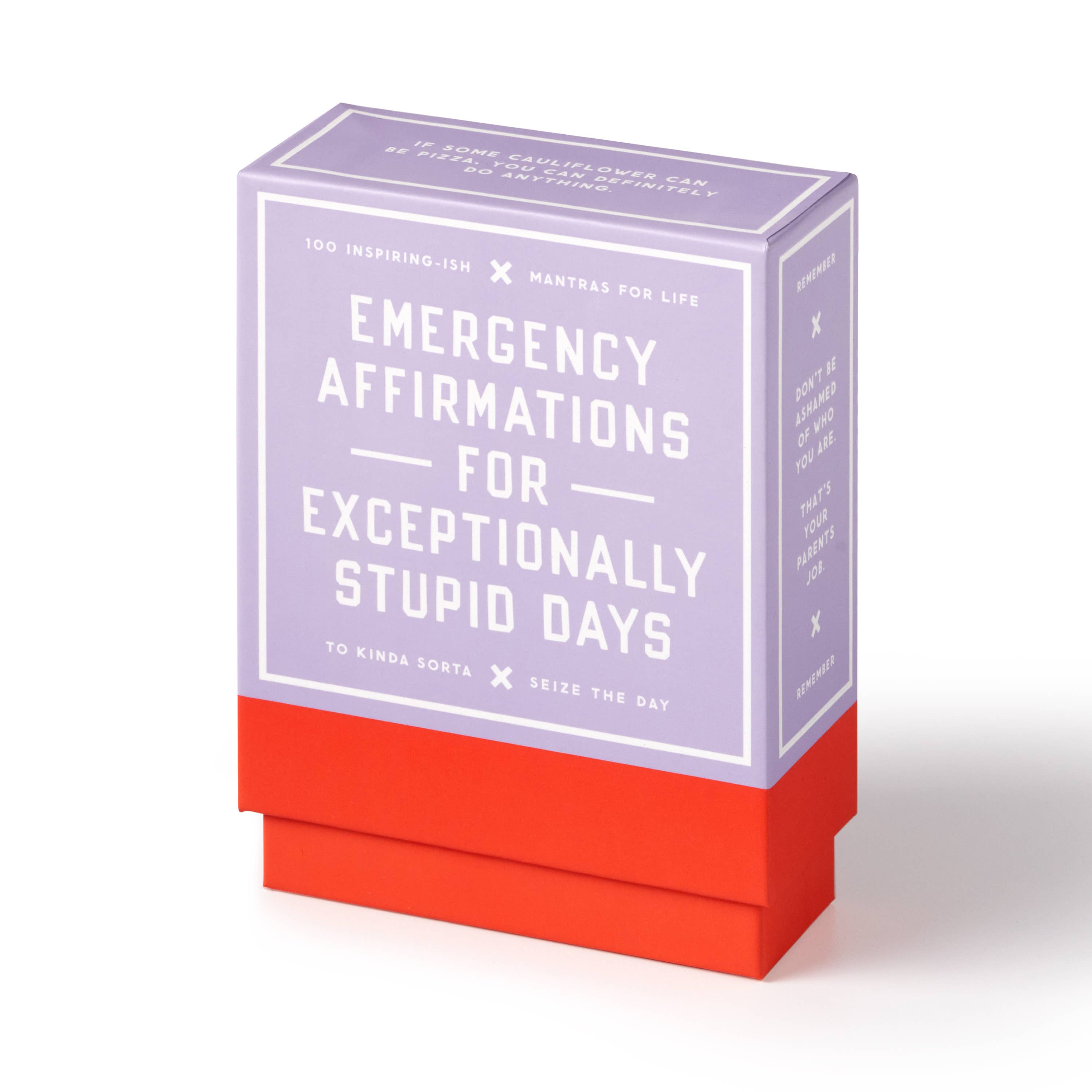 Brass Monkey Emergency Affirmations Exceptionally Stupid Days Card Deck, photo 1 of 4