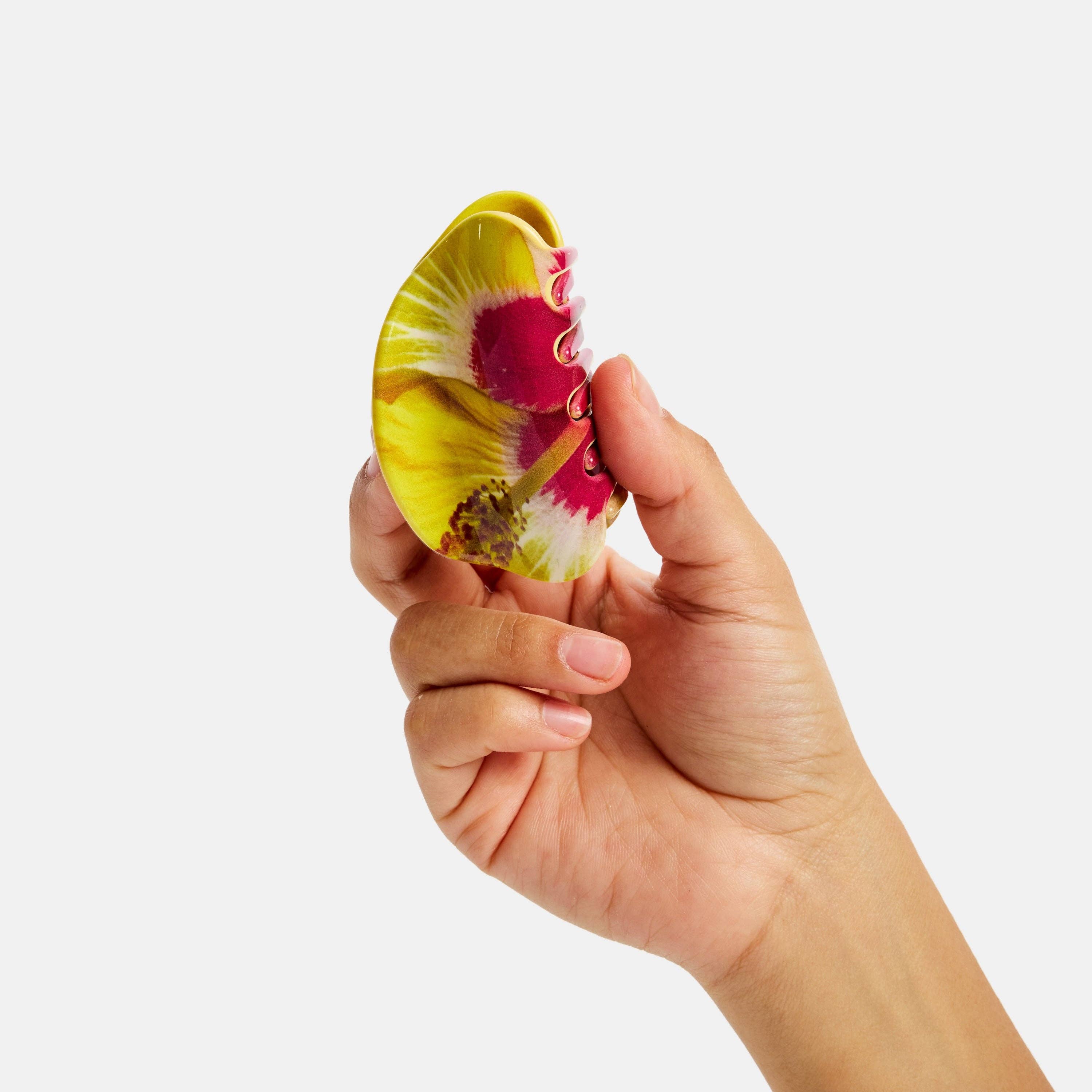 Juno Claw in Hibiscus Flower, photo 4 of 5